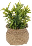 Изкуствено растение atmosphera Jiling, 20 cm