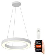 Immax NEO 07091L - LED Димируем висящ полилей PASTEL LED/52W/230V 60 см бял