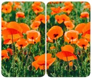 WENKO 2521434500-Покривна плоча - ЦВЕТЕ/РАСТЕНИЕ 30x52 см пъстроцветна