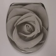 Тоалетна седалка ICST 798 ДАРА