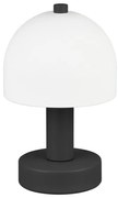 Черно-бял настолна лампа със стъклен абажур (височина 19 cm) Glenn – Trio