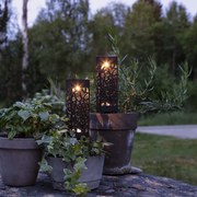 Комплект от 2 външни слънчеви LED лампи, височина 18 см Izola - Star Trading