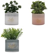 Изкуствено растение atmosphera Tayli Succulent, 18 cm, Различни видове