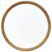 LED таванно осветително тяло LED/24W/230V 3000/4000/6500K, Ø 30 см, бежово