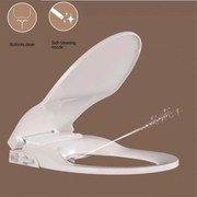 Тоалетна седалка с биде ICST 911