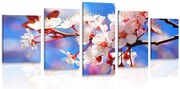 картини от 5 части – Цвят на череша