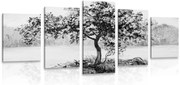картини от 5 части – Ориенталска череша в черно-бяло