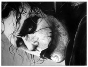 Картина за стена върху платно Жокер, 40 x 30 cm - Wallity