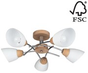 Spot-Light 8141574 - Полилей за повърхностен монтаж VILETTA 5xE27/40W/230V