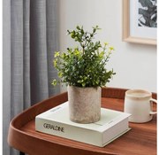 Eglo 428025 - Изкуствено растение в саксия CHITOSE 25x15 см