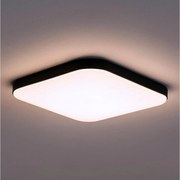 LED таванно осветително тяло NEMO LED/36W/230V 50x50 см черно