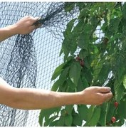 Мрежа за защита от птици Pronet плетена 5 х 12 метра