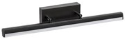 Rabalux 2166 - LED огледално осветление EVAN LED/12W/230V 49 см IP44