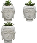 Изкуствено растение atmosphera Buddha, 13.5 cm, Различни видове