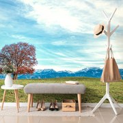 Фототапет – Панорама на планините