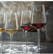 Стъклена чаша за червено вино 550мл INTENSO-(10046/06) - Luigi Bormioli