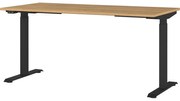 Работна маса с електрическо регулиране на височината с дъбов плот 80x160 cm Agenda – Germania