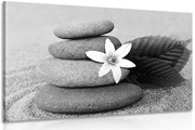 Картина на платно – Цвят и камъни в пясък в черно-бяло