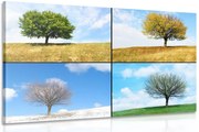 Картина на платно – Дърво през сезоните