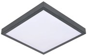 LED Плафон със сензор VITALI LED/24W/230V 4000K