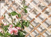 Trelliwood 0.5 х 1.5 м. Кафяв Пергола Nortene от дърво