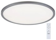 Rabalux 2290 - LED RGB димируемо таванно осветително тяло RASMUS LED/22W/230V + дистанционно управление