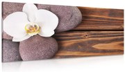Картина на платно – Уелнес камъни и орхидея на дървено фон
