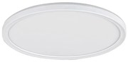 Rabalux 3428 - Димируемо LED таванно осветително тяло PAVEL LED/22W/230V