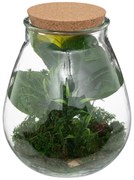 Изкуствено растение atmosphera Botanic Terrarium, 29.5 cm
