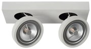 Lucide 09920/20/31 - LED Димируема Точково осветително тяло NENAD AR111 2xG53/10W/230V