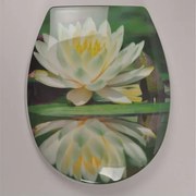 Тоалетна седалка ICST 712 ДАЛИСА