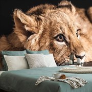 Фототапет – Лъвче