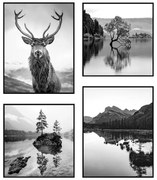 Картини в комплект от 4 бр. 30x40 cm Wild