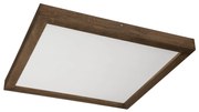 Brilagi-LED Регулируемо осветително тяло WOODY FRAME LED/50W/230V дъб 60x60 IP44