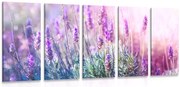 картини от 5 части – Магически цветя на лавандула