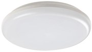 Rabalux 7979 - LED Екстериорна Лампа за таван ERIC LED/24W/230V IP64