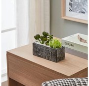 Eglo 428009 - Изкуствено растение CHITOSE 14,5x17,8 см, сукулент