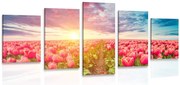 картини от 5 части – Изгрев над поляна с лалета