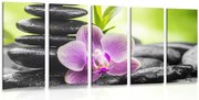 картини от 5 части – Тропическа Зен композиция