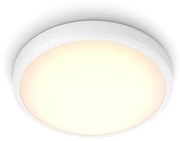 Philips - LED Лампа за баня BALANCE LED/17W/230V IP44