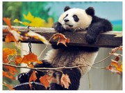 Диамантена мозайка - гоблен Rila Crafts, 30х40 см, Панда, Многоцветен