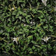 Изкуствени цветя за стена, декорация А037, панел 50х50см