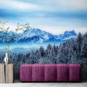 Фототапет – Замръзнали планини
