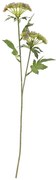 Изкуствено растение (височина 49 cm) Throatwort – Bloomingville