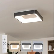 Brilagi - LED димируемо таванно осветително тяло FALCON II LED/80W/230V 40x40 cm черно + дистанционно управление