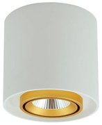 LED Точково осветление, луна XENO LED/15W/230V бяла 1200lm