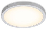 Briloner 7143-014 - LED Плафон FIRE LED/24,5W/230V 3000K