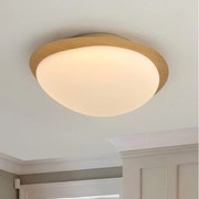 Brilagi - LED таванно осветително тяло VISBY WOOD LED/18W/230V Ø 38 см в кафяво