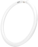 Флуоресцентна тръба T9 G10q/40W/230V 6500K - Aigostar