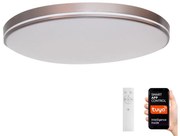 Immax NEO 07150-C40 - LED Димируема лампа NEO LITE AREAS LED/24W/230V Tuya Wi-Fi + д.у.